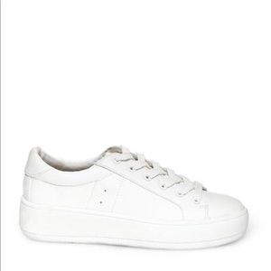 Steve Madden Bertie sneakers